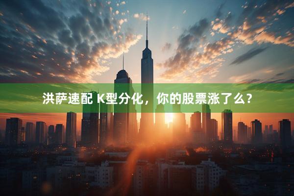 洪萨速配 K型分化，你的股票涨了么？