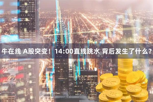 牛在线 A股突变！14:00直线跳水 背后发生了什么？